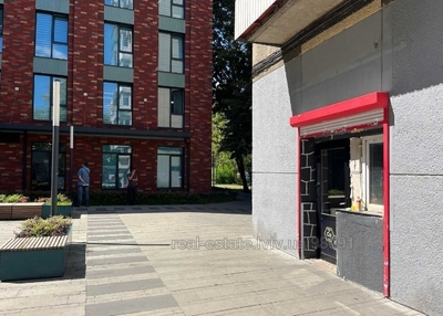 Commercial real estate for rent, Non-residential premises, Chornovola-V-prosp, 45, Lviv, Shevchenkivskiy district, id 4821950