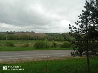 Buy a lot of land, agricultural, Vovkiv, Pustomitivskiy district, id 4246806