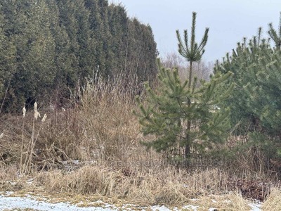 Купити ділянку, осг, Годовиця, Пустомитівський район, id 5158382