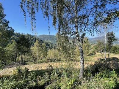 Buy a lot of land, agricultural, Slavsko, Skolivskiy district, id 5075816