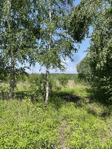 Buy a lot of land, Лісна, Malekhov, Zhovkivskiy district, id 5138126