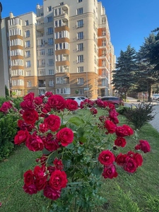 Buy an apartment, Striyska-vul, Lviv, Sikhivskiy district, id 4487424