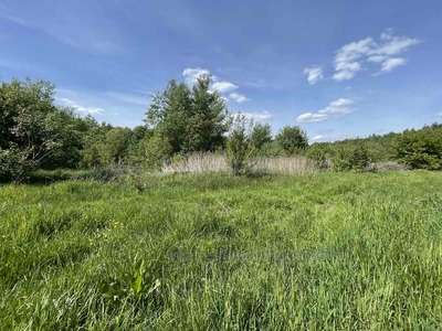 Buy a lot of land, Obroshinoe, Pustomitivskiy district, id 4842248