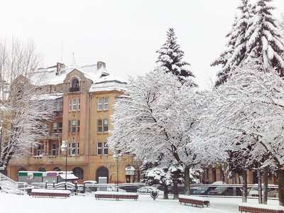 Купити квартиру, Австрійський люкс, Бандери С. вул., Львів, Галицький район, id 4988552