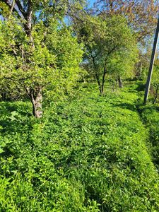 Купити ділянку, під забудову, без назви, Дмитровичі, Пустомитівський район, id 4978317