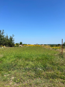 Buy a lot of land, for building, Davidiv, Pustomitivskiy district, id 5151887