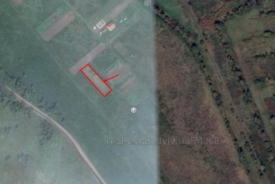 Buy a lot of land, for building, Незалежності, Zhorniskaya, Yavorivskiy district, id 4787847