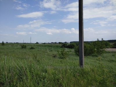 Buy a lot of land, for building, Ряснянська, Pidryasnoe, Yavorivskiy district, id 4830905