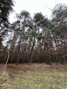 Buy a lot of land, Bryukhovichi, Lvivska_miskrada district, id 4654793