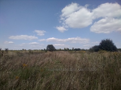 Buy a lot of land, Р, Godovica, Pustomitivskiy district, id 4630598