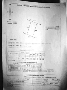 Buy a lot of land, gardening, _Раковець, Novoselka, Pustomitivskiy district, id 4794556