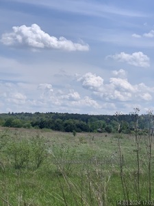 Купити ділянку, сільськогосподарського, Бірки, Яворівський район, id 5034422