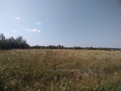 Buy a lot of land, Л, Malinovka, Pustomitivskiy district, id 4815894