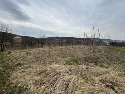 Buy a lot of land, agricultural, Volica, Pustomitivskiy district, id 5101523