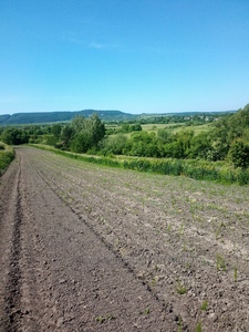 Купити ділянку, Степана Бандери, Коцурів, Пустомитівський район, id 4822082