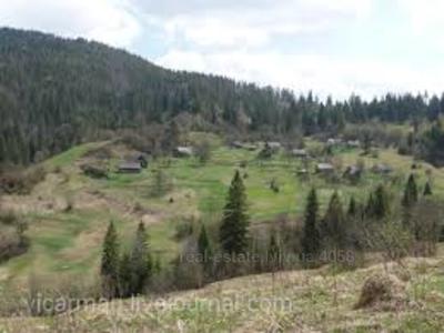 Buy a lot of land, agricultural, Грабовецька, Grabovec, Skolivskiy district, id 5111393