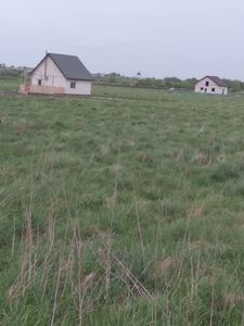 Buy a lot of land, Шевченка, Chishki, Pustomitivskiy district, id 4670661