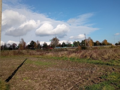 Buy a lot of land, Рясне-Руське, Ryasne-Rus'ke, Lvivska_miskrada district, id 4743684