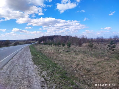Buy a lot of land, Відники, Vidniki, Pustomitivskiy district, id 4703538