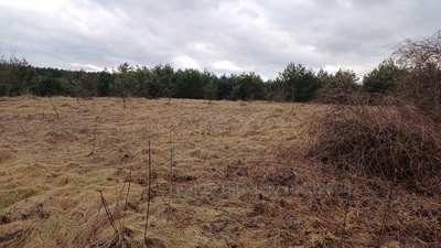 Buy a lot of land, ожб, Derevach, Pustomitivskiy district, id 4951054