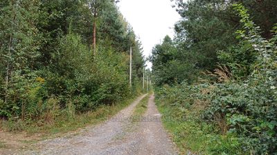 Buy a lot of land, for building, в лісі, Lipniki, Pustomitivskiy district, id 5087141