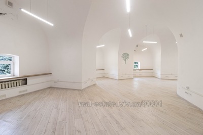 Commercial real estate for rent, Business center, Grabovskogo-P-vul, 11, Lviv, Galickiy district, id 4712373