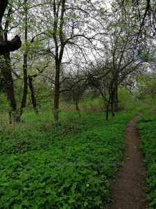 Купить участок, Холодная ул., Львов, Шевченковский район, id 4851487