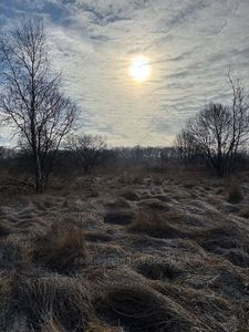 Купити ділянку, сільськогосподарського, Галицька, Пасіки-Зубрицькі, Пустомитівський район, id 5124356