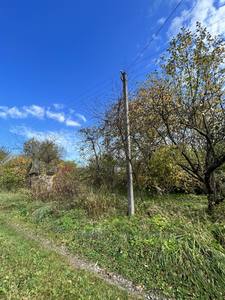 Buy a lot of land, for building, Yasniskaya, Yavorivskiy district, id 4990553