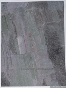 Buy a lot of land, agricultural, Лісопотік, Lesopotok, Yavorivskiy district, id 4738309