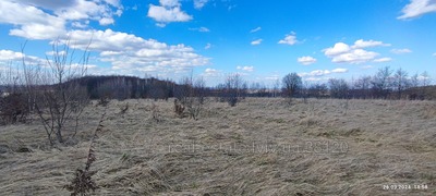 Buy a lot of land, Відники, Vidniki, Pustomitivskiy district, id 4809185