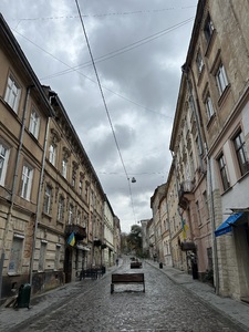 Оренда квартира, Австрійський люкс, Лесі Українки вул., Львів, Галицький район, id 4733913