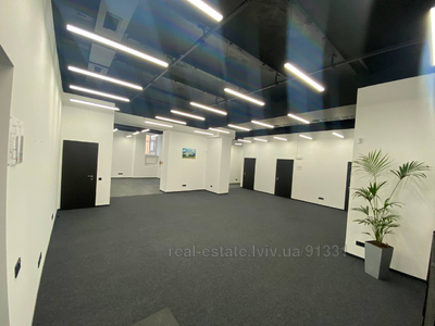 Commercial real estate for rent, Business center, Shevchenka-T-prosp, 10, Lviv, Galickiy district, id 4111317