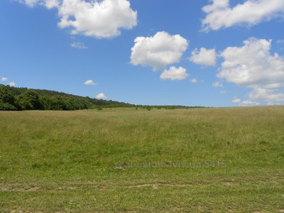 Buy a lot of land, Ясева, Peremishlyani, Peremishlyanskiy district, id 4746888