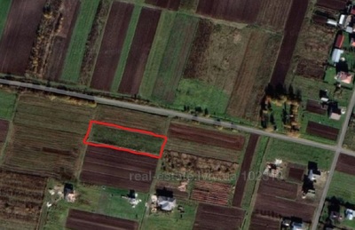 Buy a lot of land, agricultural, Центральна, Mistki, Pustomitivskiy district, id 5025241