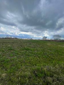 Buy a lot of land, Bolshoy Doroshiv, Zhovkivskiy district, id 4997806