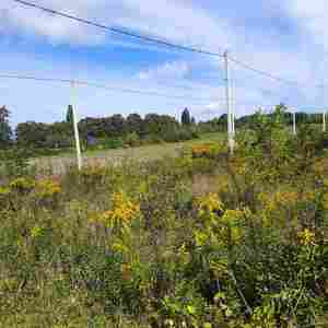 Buy a lot of land, Квартал забудови Новий, Rakovec, Pustomitivskiy district, id 5012838