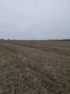 Buy a lot of land, for building, Glukhovichi, Pustomitivskiy district, id 4599252