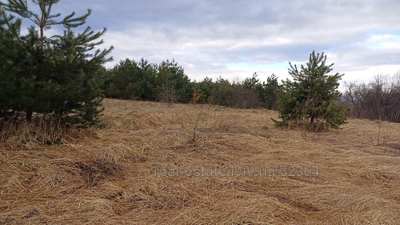 Buy a lot of land, біля лісосмуги, Vorociv, Yavorivskiy district, id 4950926