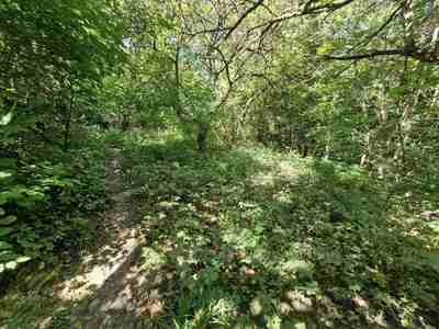 Buy a lot of land, gardening, Topolniy-6-y-prov, Lviv, Shevchenkivskiy district, id 4880286