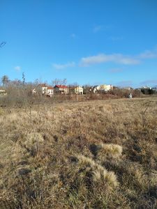 Buy a lot of land, Pidryasnoe, Yavorivskiy district, id 4982408