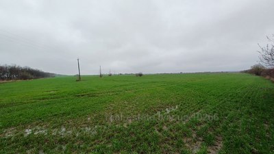 Buy a lot of land, Navariis'ka, Solonka, Pustomitivskiy district, id 4660512