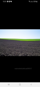 Buy a lot of land, agricultural, Sknilov, Pustomitivskiy district, id 5091212