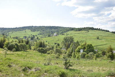 Buy a lot of land, for building, Ivashkovcy, Turkivskiy district, id 5148742