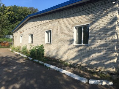 Commercial real estate for rent, Центральна, Rakitno, Yavorivskiy district, id 4974318