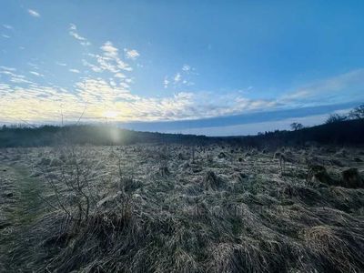 Купити ділянку, Тараса Шевченка, Солонка, Пустомитівський район, id 4815517