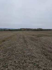 Buy a lot of land, for building, Glukhovichi, Pustomitivskiy district, id 4798082