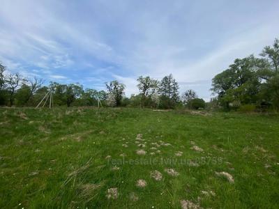 Buy a lot of land, Сагайдачного, Krasiv, Mikolajivskiy district, id 5046444