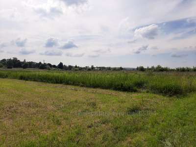 Buy a lot of land, agricultural, Kulparkivska-vul, Sokilniki, Pustomitivskiy district, id 4777245