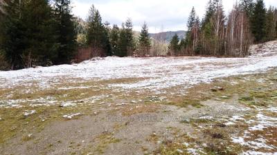 Buy a lot of land, gardening, Skole, Skolivskiy district, id 5095733